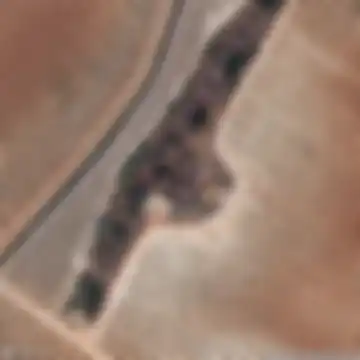 Beja