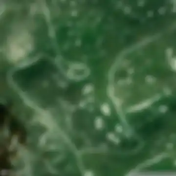 Grad Konjic, Hercegovačko-neretvanska županija (kanton)