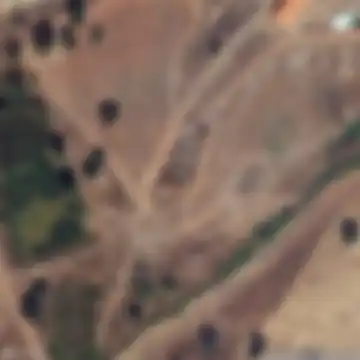 Beja