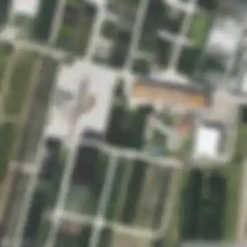 Bargi