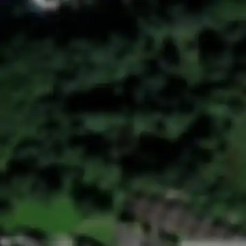 Traces of the Vector