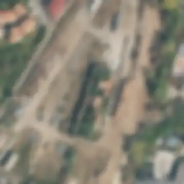 Arona