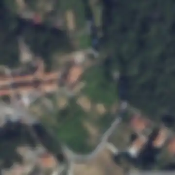 Bergiola