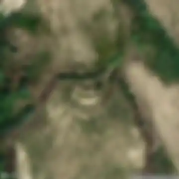 Mutignano