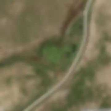 SS439, Volterra