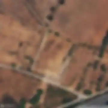 Carretera de las Aletas, Puerto Real