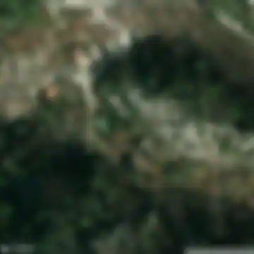 Капина