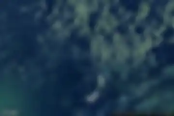 Sentiero dei Grandi Alberi, Morterone