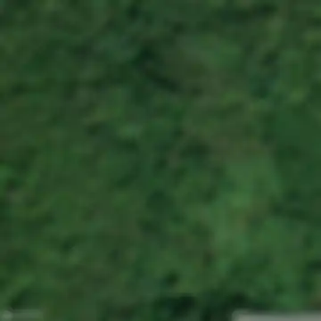 Selišta