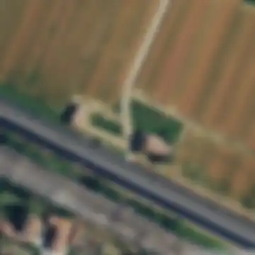 Bologna