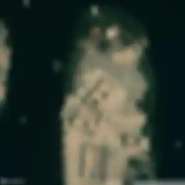 معبد فيلة, شاش
