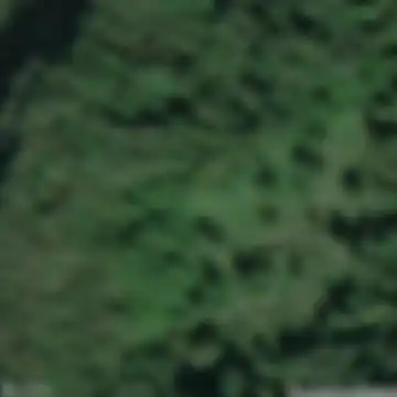 Avio