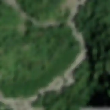 Guardabosone