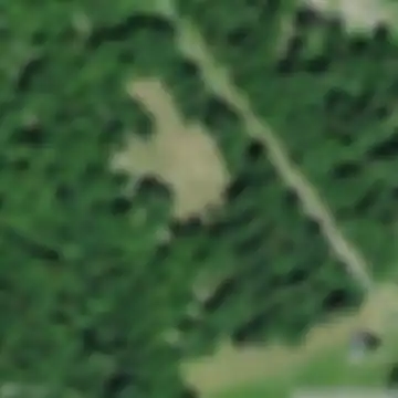 Tannenboden, Rüti