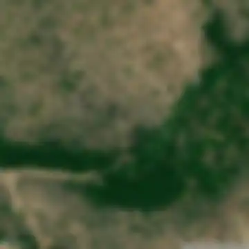 Orizari