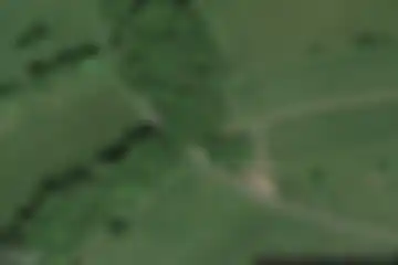 Coinches