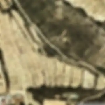 el Cogul