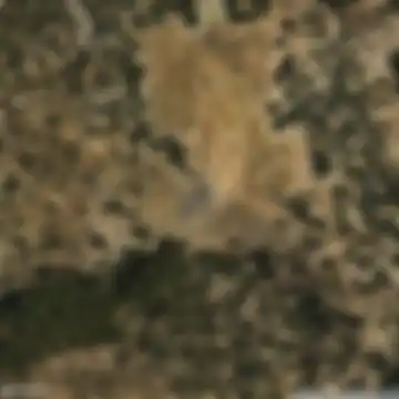 Carretera de Huéneja a A-92, Huéneja