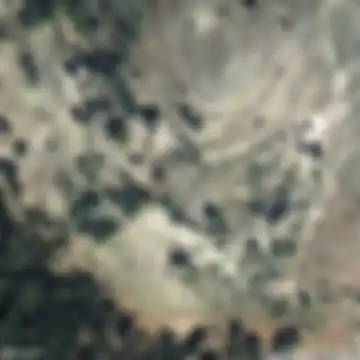 Cañamares