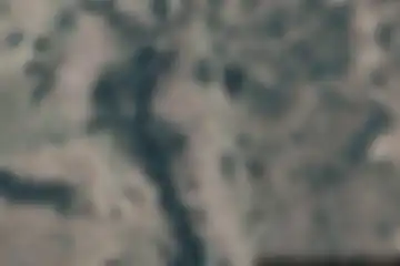 Albertacce