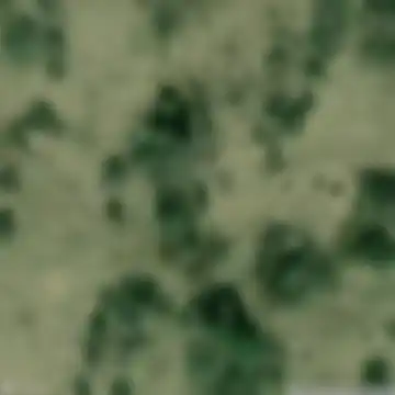 Udomlya