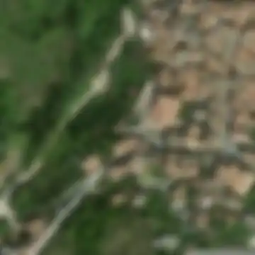 Cabbia