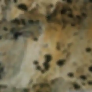 Cortijo de la Cabrilla