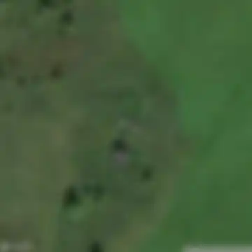 Шинкарево