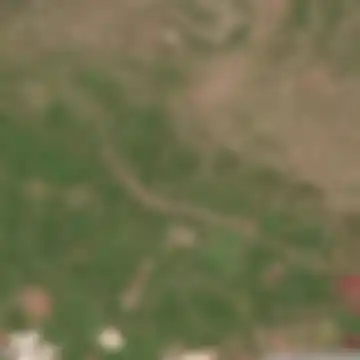 Արդենիս