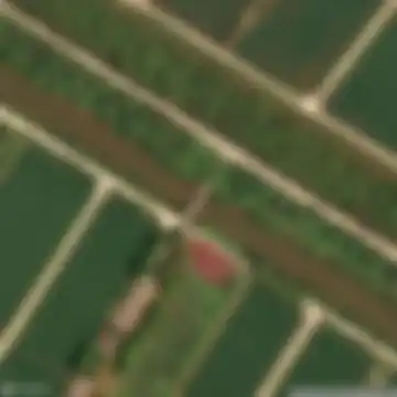 东平镇