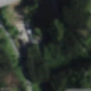 Nuttlar