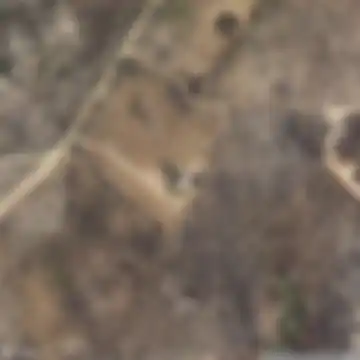 Casal da Serra, São Vicente da Beira
