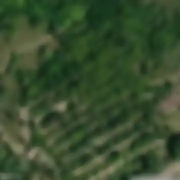 Yelyzavethradka
