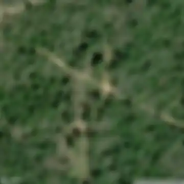Campagnatico