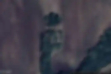 Alzonne