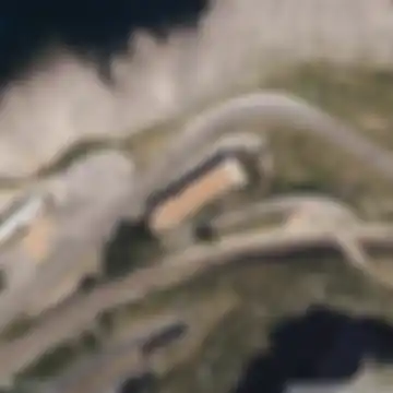 Isola delle Femmine