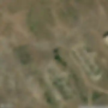 Բուժական