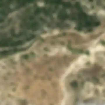 Antrounidon, Πισσούρι