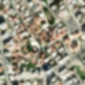 Savva Rotsidi, Δήμος Μέσα Γειτονιάς