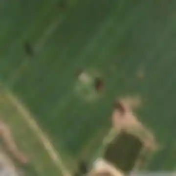 מועצה אזורית שדות דן