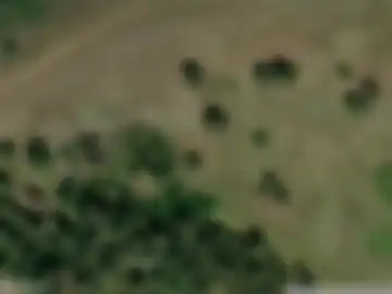 Fort Meade