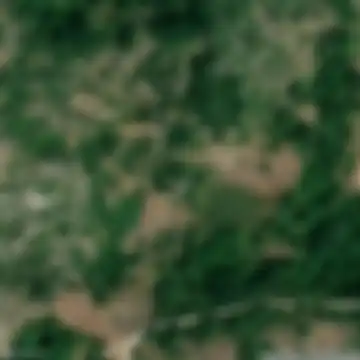 Kamenica, Vučido