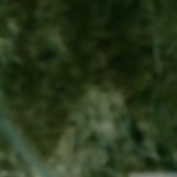 Nagyvázsony