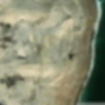 עין גדי