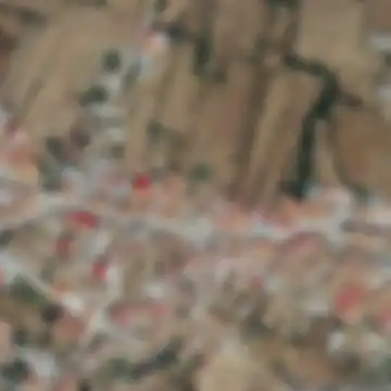 Grisuela, Rabanales