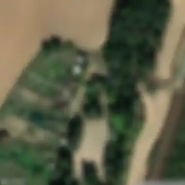 Кузьмолово, Кузьмоловский