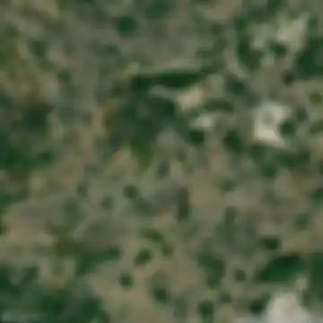 Kanatlarci