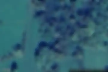 Pesmes