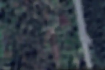Biras