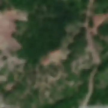 Горна Враштица